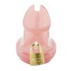 Cage de chasteté Mini Locky 6 x 3.2cm Rose Cage de chasteté Mini Locky 6 x 3.2cm Rose