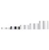 Ballstretcher magnétique Burton M - Hauteur 2cm - Poids 315g Ballstretcher magnétique Burton M - Hauteur 2cm - Poids 315g