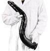 Gode Righty M 58 x 6cm Gode Righty M 58 x 6cm