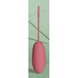 Oeuf vibrant sans fil Egg Soft Vibrator 8 x 3.3 cm Rose