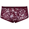 Boxer Flino Bordeaux Boxer Flino Bordeaux