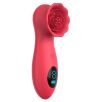 Stimulateur de Clitoris Flowerclit Stimulateur de Clitoris Flowerclit