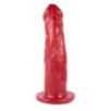 ABAGRA 41 x 11.5cm Rouge ABAGRA 41 x 11.5cm Rouge