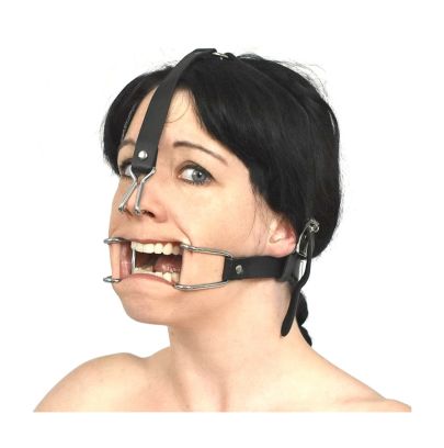 Embout combiné bâillon nez corde snaffle lisse fer noir Western