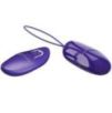 Mini Œuf virbrant Selkie Pretty Love violet avec téécommande