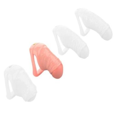 Cage Dick M 9.5 x 3.5cm pas cher