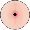 Masturbateur Double Randy Vagin et Anus Masturbateur Double Randy Vagin et Anus