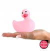 Canard Vibrant Rose Canard Vibrant Rose
