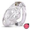 Cage de chasteté Beam 6 x 3cm Transparente Cage de chasteté Beam 6 x 3cm Transparente